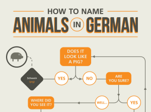 Here's how our precise, efficient, logical German friends *allegedly* came up with their names for various animals...